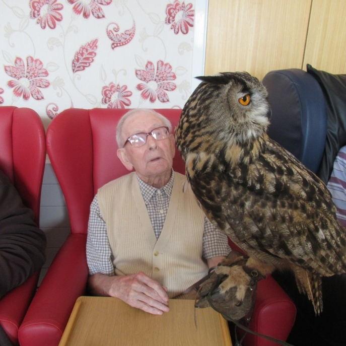 Visiting entertainers and guests such as the local falconry are welcome events.